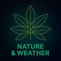 SFX Volume 4 Animals Nature and Weather