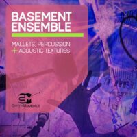 Basement Ensemble