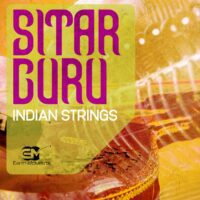 Sitar Guru Indian Strings