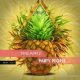 07062399_irrupt-pineapple-party-people