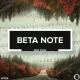 Audiotent-Beta-Note-AT155