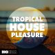 Big-EDM-Tropical-House-Pleasure
