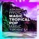 Diginoiz_-_Magic_Tropical_Pop_Cd